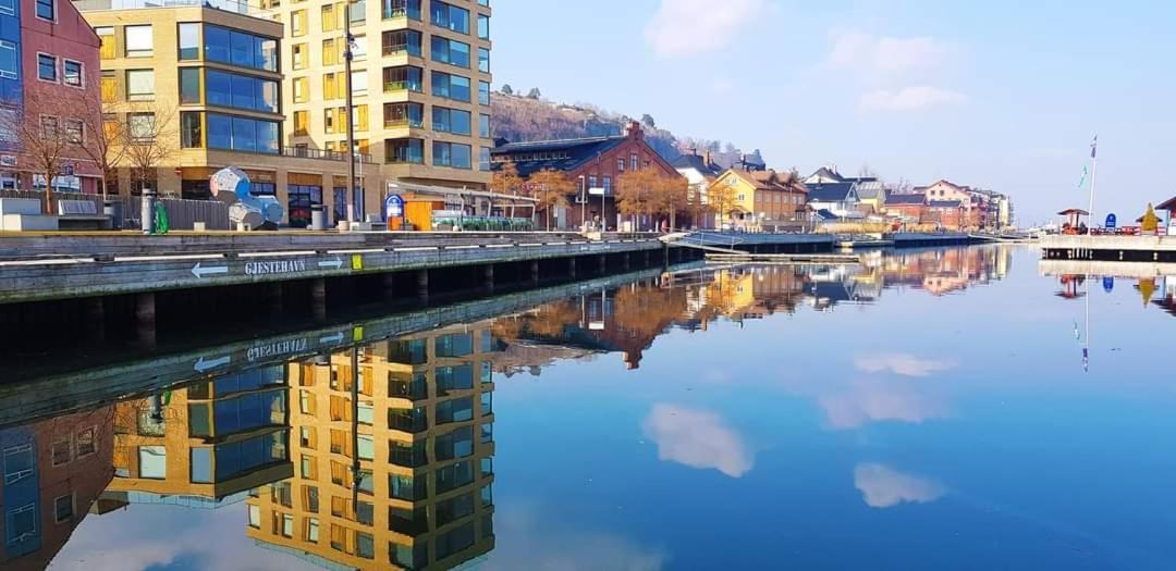Studio W Centrum Miasta Holmestrand, Norwegia エクステリア 写真